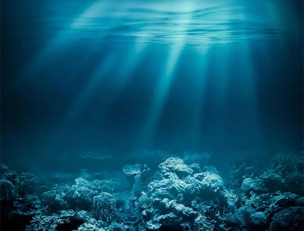 海洋水质 海洋水质